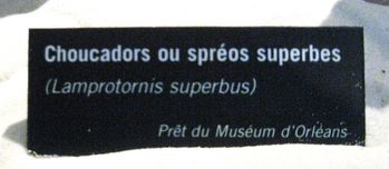 Cite-des-Sciences-5771.JPG