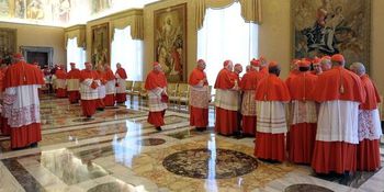 1830215 3 2c93 les-cardinaux-au-vatican-le-11-fevrier 4c549
