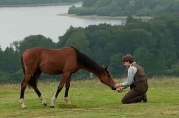 Cheval de Guerre - Jeremy Irvine-copie-2