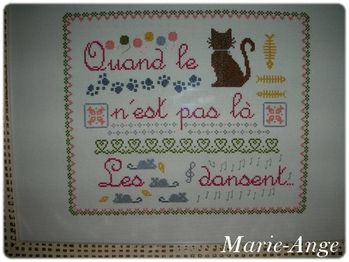 quand le chat marie ange