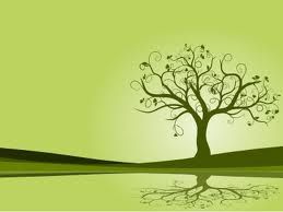 arbre.jpg