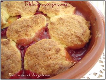 Délice aux prunes 1