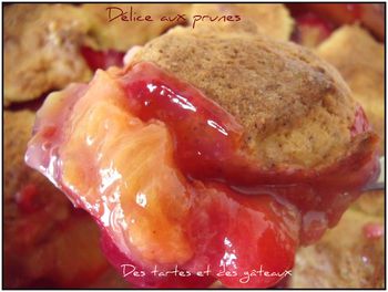 Délice aux prunes 2