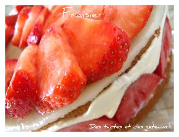fraisier 4