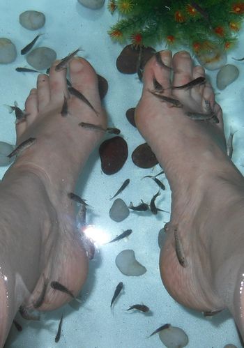 fish-2.jpg
