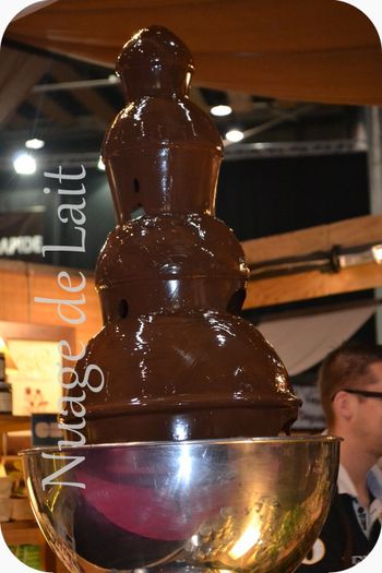 fontaine chocolat Lille Salon du Chocolat