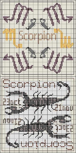 scorpion.JPG