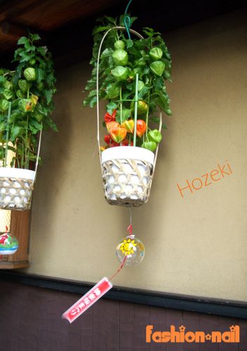 hozeki