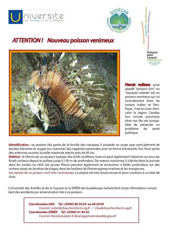 new fiche wanted