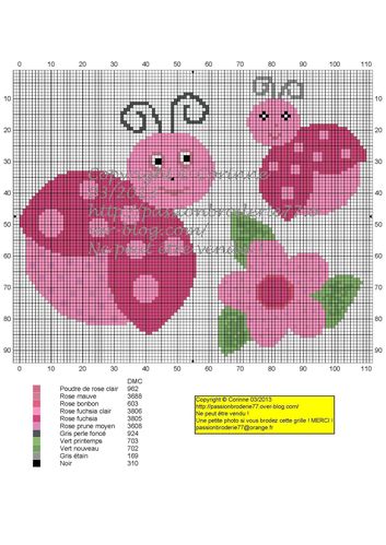 Cocci-rose-copie.jpg