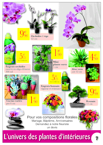 07-TAP-JARDINERIE-SEPTEMBRE-2e_1.gif