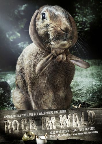 rock-en-foret-lapin-laisse-moi-te-dire.jpg