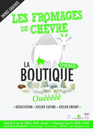 ANICAP---VISUEL-BOUTIQUE-EPHEMERE.jpg