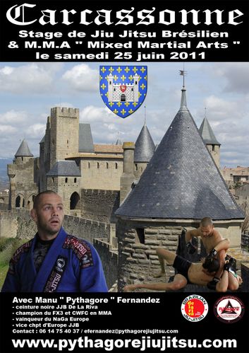 Carcassonne-JJB-MMA.jpg
