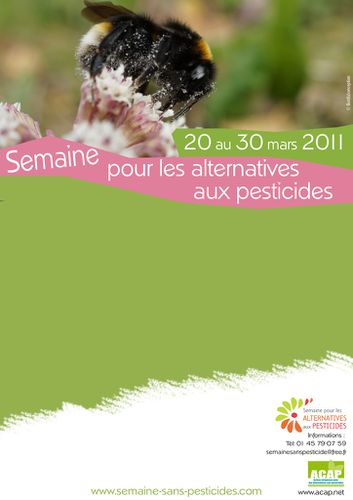 Affiche SSP6 fr