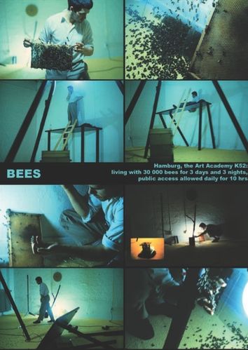 Hentz Mike Bees 1980