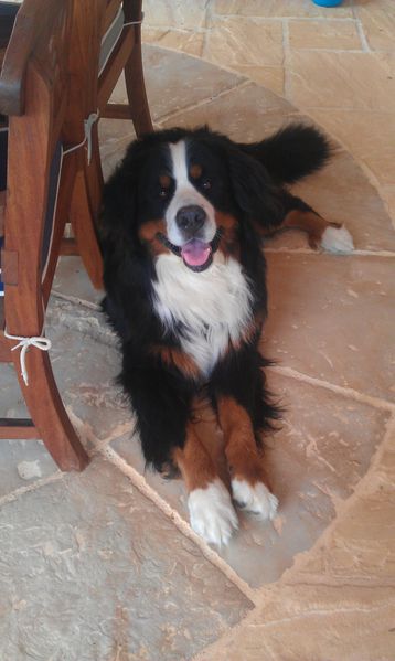 IMAG0555-copie-1.jpg