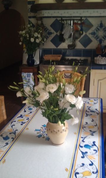 IMAG0563-copie-1.jpg