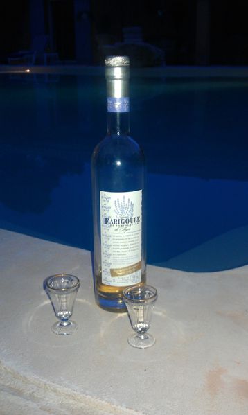 IMAG0568.jpg