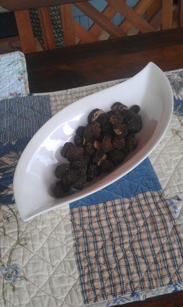 IMAG0592.jpg