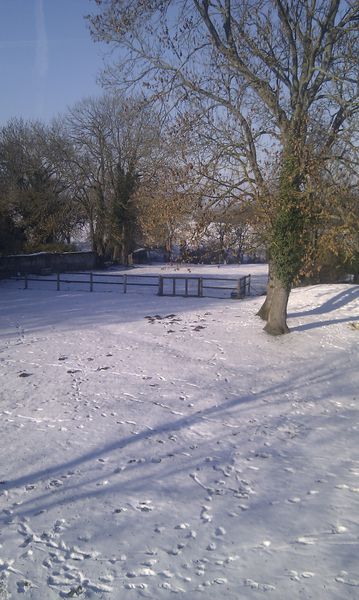 IMAG0322.jpg