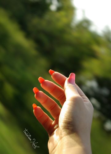 campagne-6