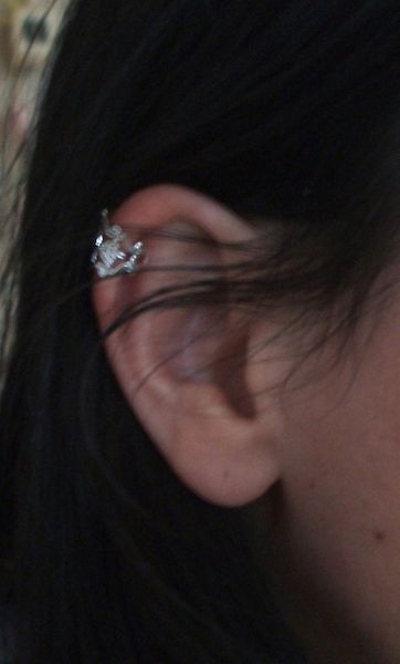 bague_oreille.JPG