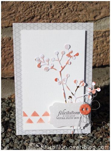 felicitation-naissance-Emma.JPG