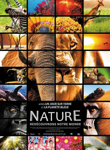 NATURE-affiche-film.JPG