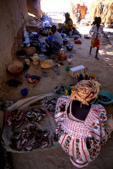 55-Mopti - Mali - Village Bozo
