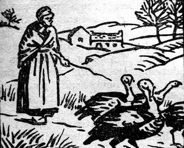 gardienne de dindes Illustrations de Souriau La ferme blanc