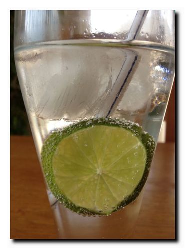 vodka-tonic-perso-copie-2.jpg