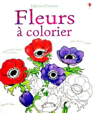 Fleurs-a-colorier-1.JPG