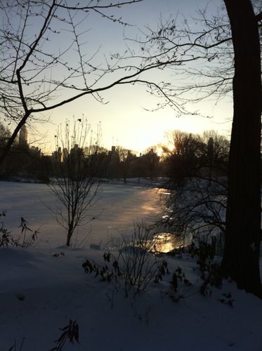 Picture 010