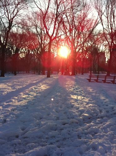 Picture 011