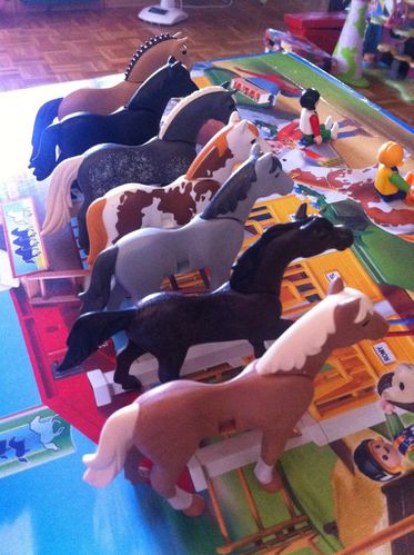 chevaux playmobil