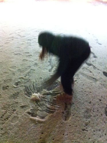 photo-4-copie-copie-1.JPG