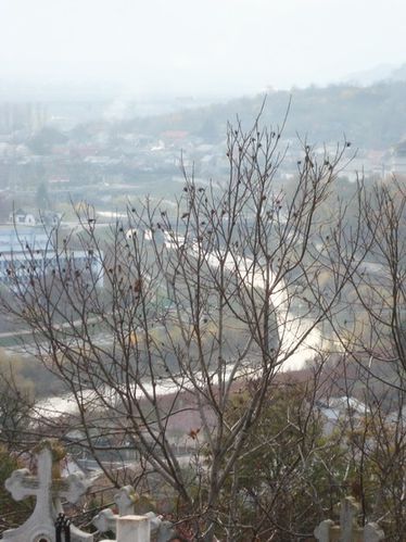toturda-DSC02951_resize.jpg