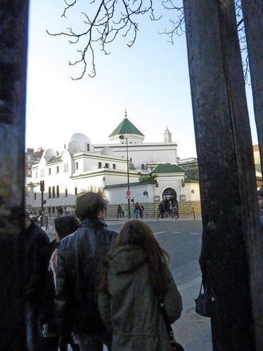 P1000891-1--1--1-.jpg