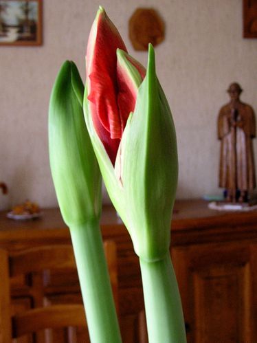 20030101_01-copie-1.JPG