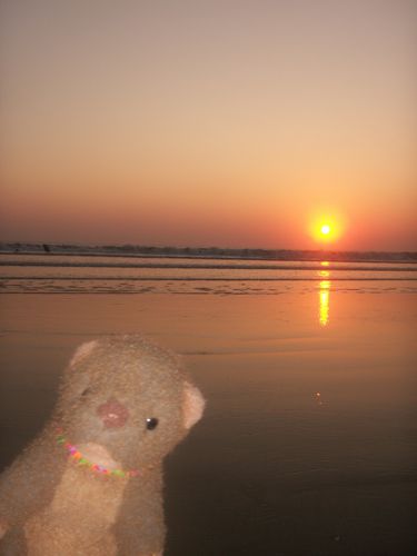 PICT0443.jpg