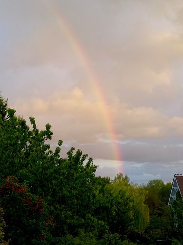 arc-en-ciel.jpg