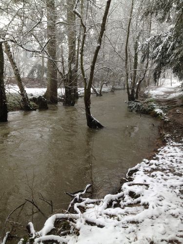 2013-03-11-Neige-14-1