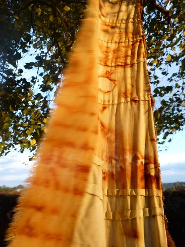 2013-10-22-D-or et de rouille (18)