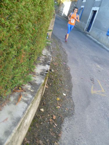 gargas 2011 131