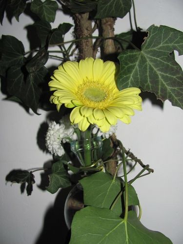 art-floral 3730