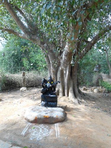 Inde du Sud Février 2013 055