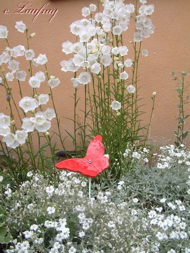 papillon-rouge-jardin.jpg
