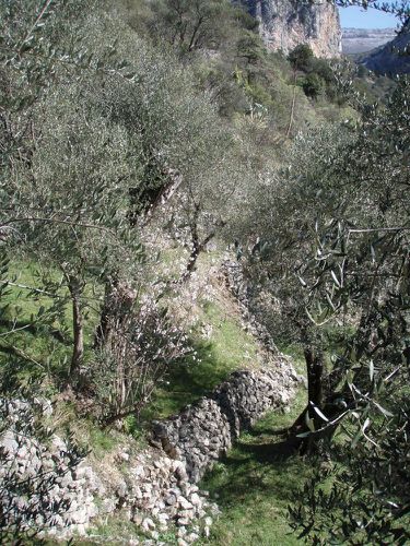 2010-03-11 Peille-12
