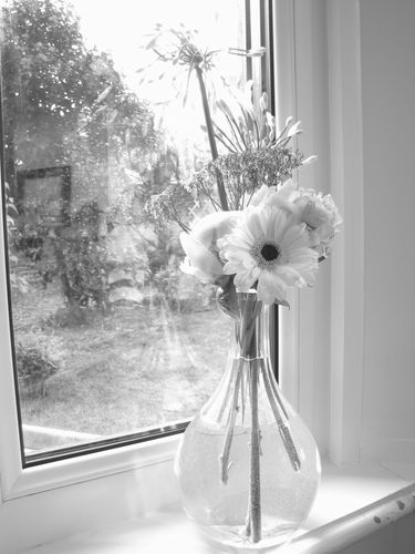 janvier-2010 0111